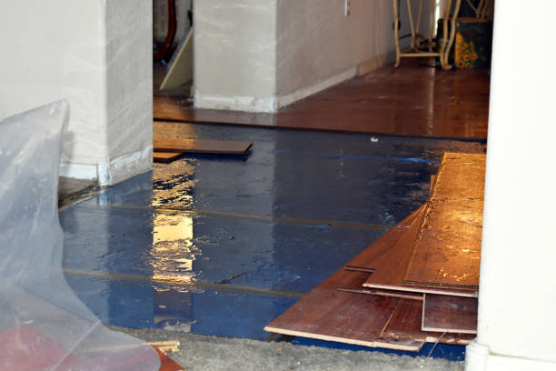 Professional Burst Pipe Water Damage technician working in Deerfield, MA
